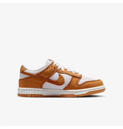 Кросівки дитячі Nike Dunk Low Brown HQ9293-001