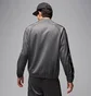 Кофта мужская Air Jordan Essentials Grey HF9339-034