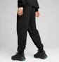 Штаны мужские Puma Mapf1 Statement Black 627304-01
