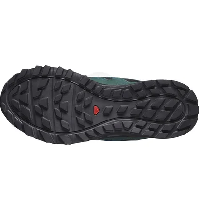 Кроссовки мужские Salomon Wander Gtx Black L47290800