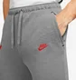 Штани чоловічі Nike Liverpool 21/22 Dri-Fit Travel Pant Grey DB7876-088