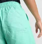 Шорти чоловічі Air Jordan Essentials 5 Poolside Shorts Turquoise FQ4562-349