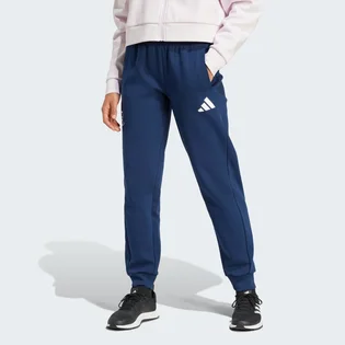 Штаны женские Adidas Poland Future Icons Blue JF9047