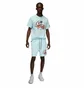Футболка чоловіча Air Jordan Flight Mvp Light Blue DX9569-411