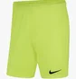 Шорты мужские Nike M Nk Dry Park Iii Short Nb K Green Bv6855-702