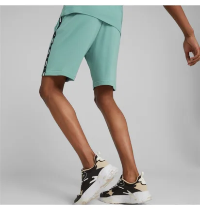 Шорты мужские Puma Essentials+ Tape Turquoise 847387-85