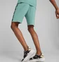 Шорты мужские Puma Essentials+ Tape Turquoise 847387-85