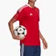Футболка мужская Adidas Jersey Tiro21 Tr Jsy Red GM7588