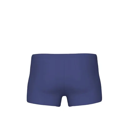 Плавки мужские Arena Graphic Swim Short Blue 009083-808