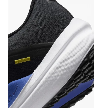 Кроссовки мужские Nike Winflo 10 Blue DV4022-005