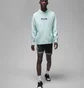 Худи мужское Air Jordan Dri-Fit Sport Graphic Fleece Pullover Hoodie Light Blue FQ6808-346