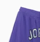 Шорты мужские Nike Air Jordan Jumpman Sport Dna Mesh Short Violet Dm1414-579