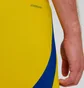 Шорты мужские Adidas Ukraine 24 Yellow IK2248