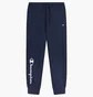 Штаны мужские Champion Blue 221812.BS501