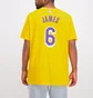 Футболка мужская Nike Nba Los Angeles Lakers Lebron James Yellow CV8528-745