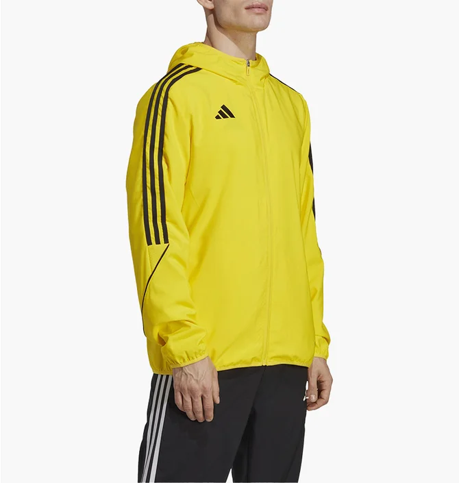 ᐉ Олимпийка мужская Adidas Hooded Jacket Tiro23 L Wb Yellow