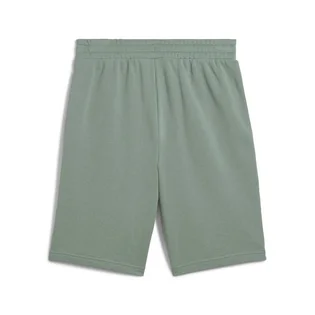 Шорти чоловічі Puma Ess 2 Color No.1 Logo Shorts 10 Green 684715-30