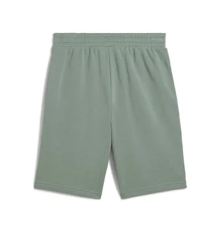 Шорти чоловічі Puma Ess 2 Color No.1 Logo Shorts 10 Green 684715-30