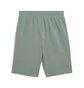 Шорти чоловічі Puma Ess 2 Color No.1 Logo Shorts 10 Green 684715-30