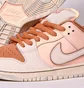 Кроссовки унисекс Nike Sb Dunk Low Pro Premium Trocadero Gardens Peach FV5926-200