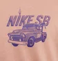 Футболка мужская Nike Sb Peach HJ0820-215