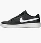 Кроссовки мужские Nike Court Royale 2 Low Black CQ9246-001
