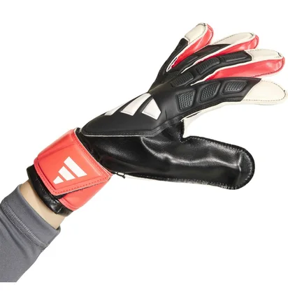 Перчатки вратарские мужские Adidas Predator Gl Trn Black/White KR0472