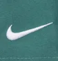 Шорты мужские Nike Swim Essential 5 Shorts Green NESSA560-302