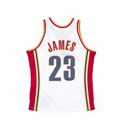 Майка мужская Mitchell & Ness Nba Swingman Jersey Cleveland Cavaliers 2003-04 Lebron James White SMJYCP19209-CCAWHIT03LJA
