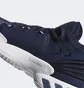 Кроссовки мужские Adidas D.O.N. Issue #2 Blue Fw8516