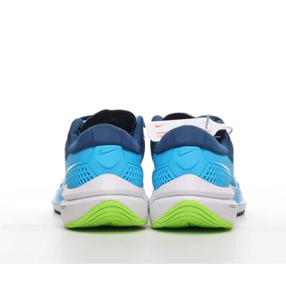 Кросівки чоловічі Nike Air Zoom Vomero 15 Blue CU1855-400