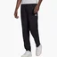 Штани чоловічі Adidas Pants Entrada 22 Presentation Black H57533