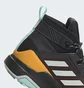 Ботинки мужские Adidas Terrex Trailmaker Mid Cold.Rdy Hiking Boots Black IF4996