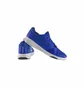 Кросівки чоловічі Reebok Flexile Blue BS8046