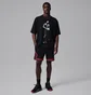 Шорты мужские Air Jordan Sport Dri-Fit Mesh Black HF9910-014