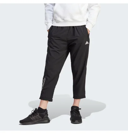 Штаны мужские Adidas Scribble Black IJ6444