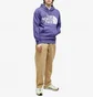 Худи мужское The North Face Standard Hoodie Violet NF0A3XYDI0D