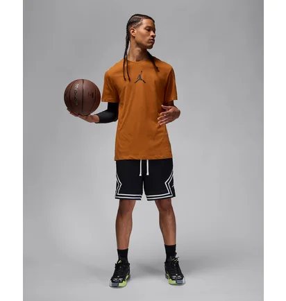 Футболка мужская Air Jordan Air Jumpss Crew Brown CW5190-228
