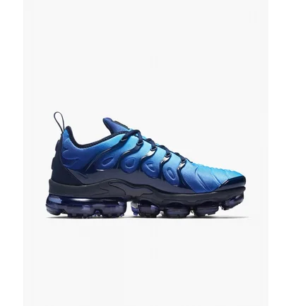 Кроссовки мужские Nike Air Vapormax Plus Blue 924453-401