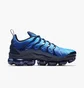 Кроссовки мужские Nike Air Vapormax Plus Blue 924453-401