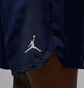 Шорты мужские Air Jordan Dri-Fit Sport Blue FN5842-410