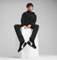 Толстовка мужская Puma Evostripe Full-Zip Hoodie Black 684613-01