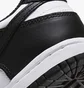 Кросівки дитячі Nike Dulow Retro White Black Panda Ps White/Black CW1588-100