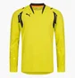 Лонгслив мужской Puma V1.08 Yellow 700394-05