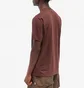 Футболка чоловіча Nike Acg Goat Rocks T-Shirt Brown DX7882-227