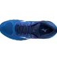 Кросівки чоловічі Mizuno Wave Horizon 4 Blue J1GC202655