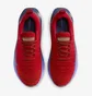 Кроссовки мужские Nike Infinityrn 4 Red DR2665-600