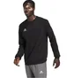 Світшот чоловічий Adidas Entrada 22 Sweatshirt Black H57478