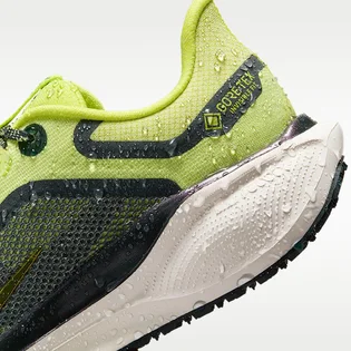 Кросівки жіночі Nike Pegasus 41 Gore Tex Green FQ1357-300
