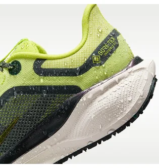 Кросівки жіночі Nike Pegasus 41 Gore Tex Green FQ1357-300